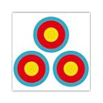 THREE ARCHERS Lot de 30 cibles Vegas en Papier Officiel Vegas pour int&eacute;rieur et ext&eacute;rieur