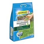 ALGOFLASH Semence Gazon Regarnissage Express, Jusqu'à 135 m², Poids : 3 Kg, SEMEX3