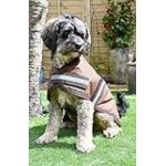 Rhinegold Manteau imperméable pour Chien Marron 30 cm