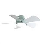 Eden pulse Ventilateur 25 W CC vert, 5 pales, r&eacute;versible, blanc/h&ecirc;tre, 6 vitesses, 3000-4000-6000 K, 82D, t&eacute;l&eacute;commande, m&eacute;moire et minuterie pour usage domestique.