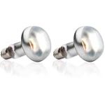 Exo Terra &Eacute;clairage pour Reptiles Lampe Intense Baskingspot 100 W (Lot de 2)