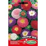 Germisem Graines Reine-marguerite LILLIPUT MIX