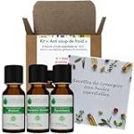 VOSHUILES - Kit Hiver Anti Coup de Froid - 3 Huiles Essentielles Bio - 100% Pure et Naturelle - HEBBD, Ecocert - Eucalyptus Globulus, Niaouli, Ravintsara - Applications Diverses - 3x10ml