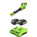 Greenworks 2x24V Souffleur &agrave; Batterie Axial de Feuilles sans Fil avec Moteur sans Balai, Fonction Turbo, 217 km/h, 16,4 m&sup3;/Min, avec Deux 24V 4Ah Batteries et Chargeur, Garantie 3 Ans GD24X2ABK4X