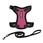 Harnais pour Chat Voyager Step-in Lock et Laisse pour Chat avec poign&eacute;e en n&eacute;opr&egrave;ne by Best Pet Supplies - pour Les Chats de Petite, Moyenne et Grande Taille, Fuchsia/Bordure Noire, Size S - 1,5 m