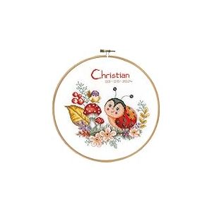 VERVACO Point De Croix Compté Kit DIY Cadeau Bebe Naissance Personnalisé COCCINELLE Tableau Complet Kit De Broderie Loisir Créatif Maison Décoration ca. 20 x 20 cm Cross Stitch