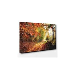Big Box Art Paysage Automne Forêt Forêt sur Toile Poster Tableaux prêts à accrocher 30x20(76x50cm) Multicolore