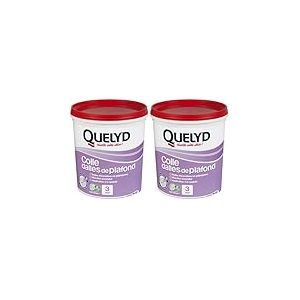 Quelyd Colle Dalles de Plafond Polystyrène – Colle en Pâte Prête à l'Emploi pour Dalles, Poutres, Moulures et Panneaux Isolants Légers – Intérieur – Sans Solvant – Blanc – Seau de 1 kg (3 m²)