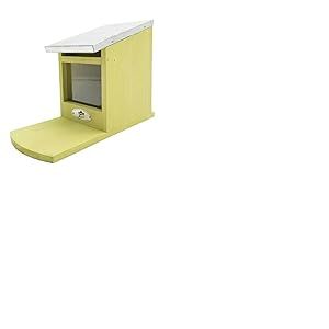 Dehner Natura Mangeoire pour écureuil, Environ 12,5 x 18,5 x 25 cm, Bois de pin/plexiglas, Vert