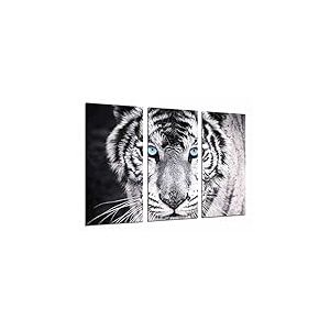 Cuadros Camara Tableau Moderne Photographique, Impression sur Bois, Tigre Noir et Blanc, Yeux Bleus, Animaux, 97 x 62 cm, ref. 26618
