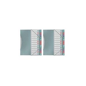 Esselte - Trieur &agrave; 12 Compartiments pour Documents A4, Pochettes en Plastique Transparent, Maison/Bureau, Motif Textur&eacute;, Gamme Colour'Breeze, Multicolore, 626256 (Lot de 2)