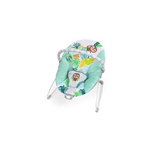 Bright Starts Wild Wonders &ndash; Transat Vibrant B&eacute;b&eacute; avec Arche Amovible et 2 Jouets, Pieds Antid&eacute;rapants, 0-6 Mois, Jusqu&rsquo;&agrave; 9 kg