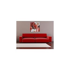 DecoSoon Tableau Peinture Fleurs Rouges et Blanches