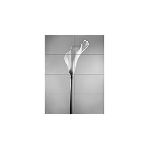 Flower Black And White Calla Lily XL Giant Panel Poster (8 Sections) Fleur Affiche