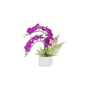 LESING Fleurs d'ochid&eacute;e artificielles avec Vase, Fleurs artificielles en Pot, orchid&eacute;e phalaenopsis pour d&eacute;coration de la Maison (Style 1, Vase Blanc)