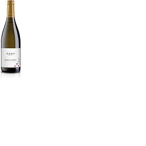 Canti - Moscato d'Asti D.O.C.G. Vin Petillant, Moscato, &Eacute;labor&eacute; &agrave; Partir du C&eacute;page du Pi&eacute;mont, Go&ucirc;t Fruit&eacute; et Doux, 1x750 ml (Lot de 6)