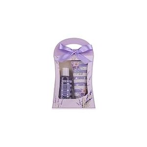 Accentra-Set cadeau de douche pour femmes LAVANDE dans une belle boîte cadeau-Set de soins 2 pièces gel douche et lotion- Set cadeau de bien-être idéal pour un anniversaire, la Saint-Valentin & Noël.