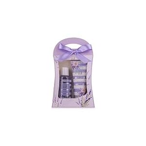 Accentra Ensemble de douche pour femme - Coffret cadeau lavande dans une belle boîte cadeau - 2 pièces avec gel douche et lotion pour le corps - Coffret cadeau bien-être pour anniversaire,