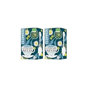CLIPPER - Infusion Bio - Attrape-Rêves - Cannelle, Camomille, Rooibos, Orange - 20 Sachets de thé Bio - 2 paquet