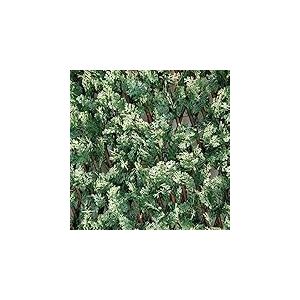 Tenax Divy 3D X-Tens Cyprus 1,00x2 m Vert-Blanc, Treillis Extensible en Bois Naturel Recouvert de Feuilles de Cyprès, Brise-Vue pour Balcons et Terrasses, Décoration de Murs