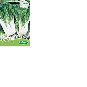 Germisem graines Chou chinois PAK-CHO&Iuml;