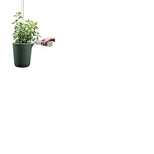 QUALY Oasis QL10308-GN-GY Pot de Fleurs Rond avec syst&egrave;me d'auto-arrosage Vert Taille L