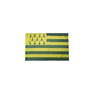 AZ FLAG - Drapeau Bretagne Melen Ha Gwer - 150x90 cm - Drapeau Breton Jaune Et Vert - Nantes 100% Polyester Avec Fourreau et cordelette - Pavillon 110 g