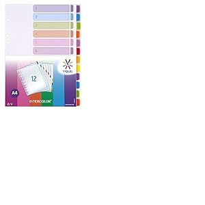 Viquel - Lot de 12 Intercalaires A4 Intercolor - Intercalaires en plastique pour classeur A4 - Onglets colorés