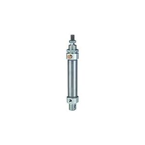 RIEGLER 114940-11.EM.10050 MSI Cylindre Rond à Effet Simple, Piston Ø 10, Course 50, M5 x 0,8, 1 pièce