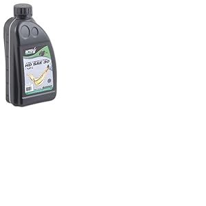 ARNOLD 6012-X1-0031 Huile 4 Temps SAE 30, Noir, 1 L