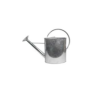 HOME IT® Arrosoir Galvanisé 10L avec Pomme Amovible – Arrosoir de Jardin en Acier Résistant – Design Classique – Facile à Utiliser et Nettoyer