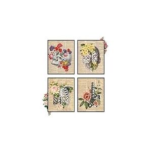 Insire Art anatomique, art mural, art médical, décoration murale, anatomie humaine, images anatomiques, affiches esthétiques, images de crâne – Sans cadre (20,3 x 25,4 cm)