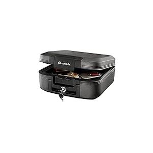 SentrySafe CFW20201 Coffre-Fort résistant au feu et étanche avec Serrure à clé, poignée de Transport pour Voyage, 0,008 m³, 16,8 x 39,1 x 36,3 cm, Gris foncé