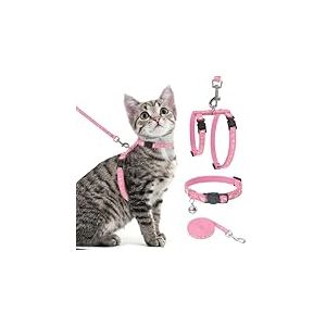 PAWCHIE Harnais pour Chat avec Laisse et Collier – Harnais réglable Anti-Fugue Qui Brille dans Le Noir pour Promenade en Plein air