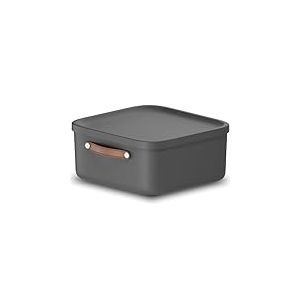 Rotho Maloja Boîte de rangement 20 l, Plastique (PP recyclé), 20 (39.5 x 38.0 x 17.7 cm), Anthracite