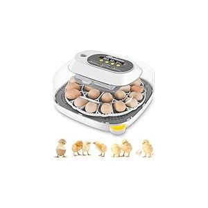 Sailnovo Couveuse Oeuf Automatique 24 Oeufs, Couveuses Oeuf Pour ufs de Volailles avec 4 Modes vue à 360°, Incubateur Oeuf Retournement Automatique des Oeufs et Contrôle de la Température (Gris)
