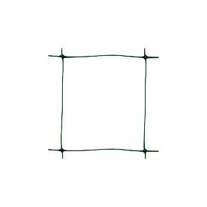 Tenax Filet à Ramer Flora 2,00x10 m Vert, Filet pour Plantes Grimpantes, dans Le Potager Facilite la Croissance des Tomates, Haricots, Légumes, Fleurs et Plantes Grimpantes, Emballage en Boîte