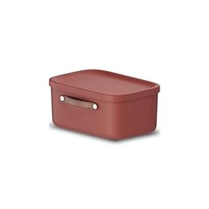 Rotho Maloja Boîte de rangement 12 l, Plastique (PP recyclé), 12 (39.5 x 26.5 x 17.7 cm)