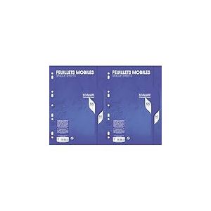 Calligraphe 2376C Un Paquet de Feuillets Mobiles Perfor&eacute;s sous Film (une Marque de Clairefontaine) - A4 21x29,7 cm - 100 Pages Grands Carreaux - Papier 80 g (Lot de 2)