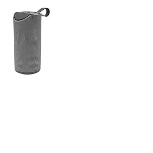 BLAUPUNKT - MP3770-153 - Enceinte Portable - Compatible - Bluetooth - 10W - Gris