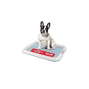 Iris USA – Plateau de propreté pour Petits Chiens et Chiots, à verrous, Pieds antidérapants, Finition polie pour Un Nettoyage Facile, Anti-fuites, 43,2 x 58,4 cm, Bleu
