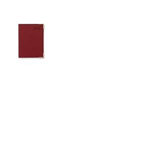 Letts of London Connoisseur Mini agenda semainier de poche 2025 Rouge