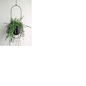 RISEON Pot de Fleurs bohème en métal Noir à Suspendre au Mur et au Plafond, Pot de Fleurs Moderne du Milieu du siècle, Pot de Fleurs Minimaliste pour intérieur et extérieur (Style B)
