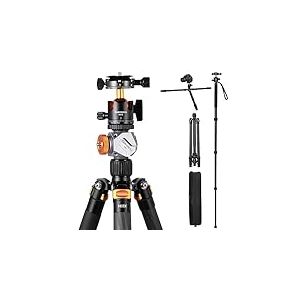 TARION Trépied d'appareil photo en fibre de carbone - 67" Trépied DSLR professionnel avec double rotule panoramique Support d'extension de sabot froid Trépied de voyage pour appareils photo caméscopes