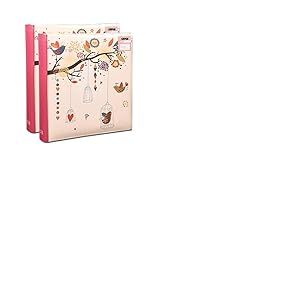 ARPAN Lot de 2 Pochettes pour CD/DVD 15 x 10 cm