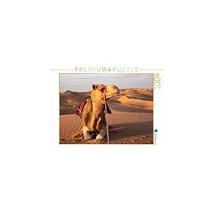 CALVENDO Puzzle Chameau au Repos dans Le désert, Wahiba Sands 1000 pièces, Taille de la Ponte, 64 x 48 cm, Photo Puzzle Image de Jürgen Bochynek