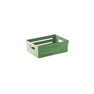 Snips Boîte de Rangement, Organiseur Polyvalent, Contenant Polyvalent 5 L, Couleur Vert, 29,5 x 19,5 x 10 cm, Made in Italy
