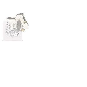 DOUDOU ET COMPAGNIE - Ours ARGENT Doudou Collector Ultra Doux - Doudou Bébé Édition Limitée 25 Ans - Tissu Brodé Élégant - Garantie Doudou Perdu - Idée Cadeau Naissance pour Filles et Garçons - DC4337