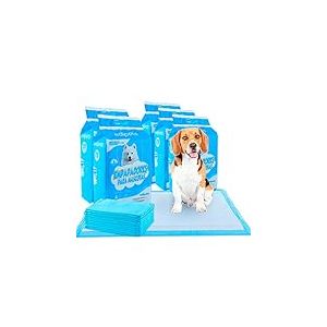 Edipets, Alaise pour Chien, Alese Chien, Alese Jetable, Tapis pour Chiot 60x60, Apprentissage de la Propreté, Anti-Fuite et Résistante (100 Pièces)