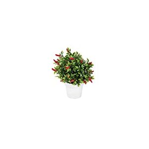 Europalms 82506432 Chili en Pot, Multicolore, Taille Unique